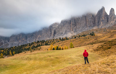 Rear view of man standing by mountain against sky