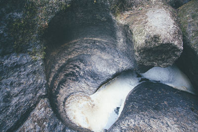 Close-up of rock in water