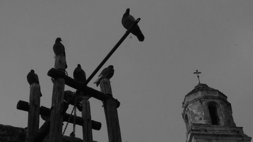 Low angle view of silhouette bird perching against sky