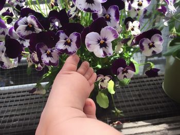 Close-up of hand holding flowers