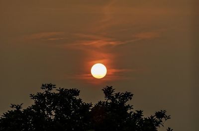 Low angle view of trees against sky at sunset
