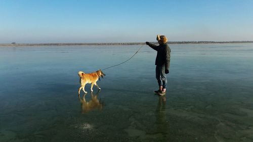 Man with dog on shore at beach against sky