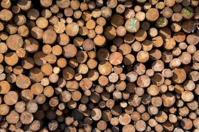 Full frame shot of logs in forest