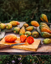 High angle view of fruits on plant