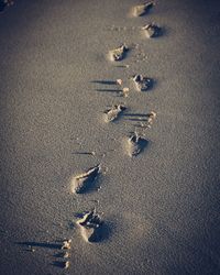 High angle view of sand at beach