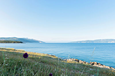 Scenic view of sea against clear sky