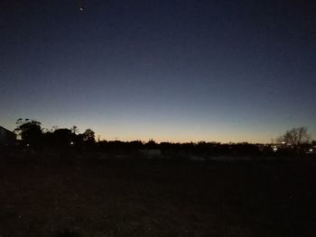 Silhouette trees on field against clear sky at night