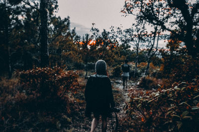 Rear view of man standing by trees in forest