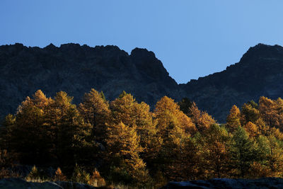 Trees on mountain against sky during autumn