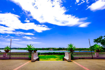 Scenic view of palm trees against blue sky