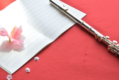 High angle view of pink flower on table