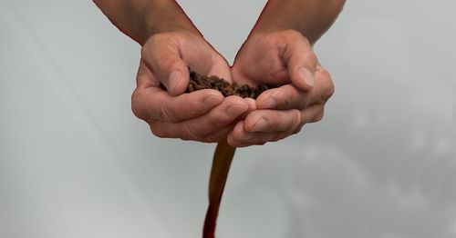 Close-up of person holding hands