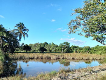 Scenic view of lake against blue sky