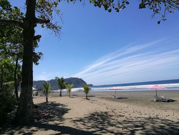 Scenic view of beach against blue sky