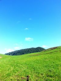 Scenic view of grassy field against cloudy sky