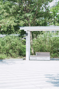 Footpath by trees in park