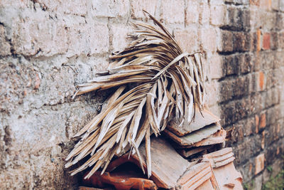 Close-up of weathered wall