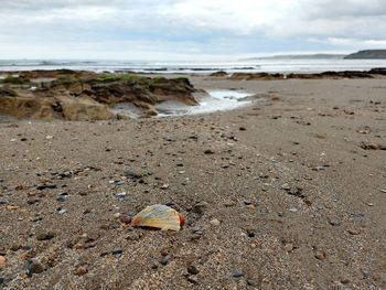 Surface level of sandy beach