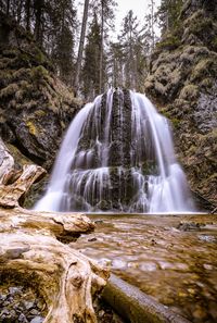 Scenic view of waterfall in forest