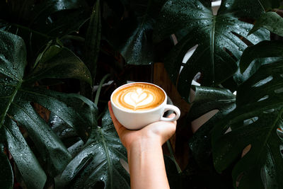 Cropped image of hand holding coffee cup