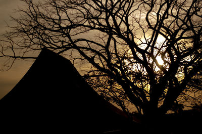 Low angle view of silhouette bare tree against sky