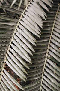 High angle view of spiral staircase