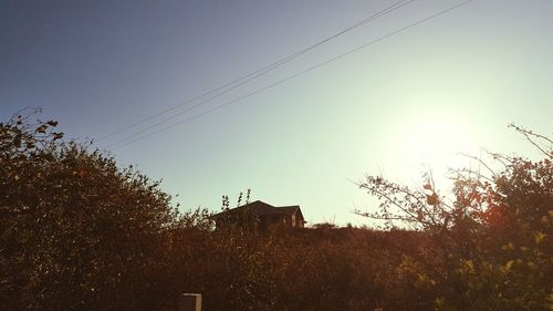 Low angle view of birds flying in sky