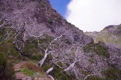 Scenic view of land against sky