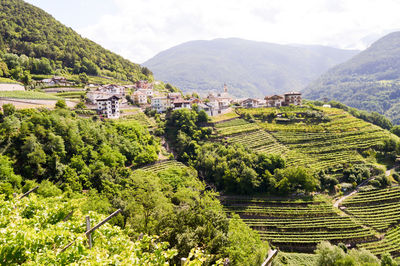 Scenic landscape from bhutan