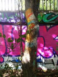 Close-up of multi colored tree trunk in park