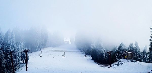 Snow covered trees against sky