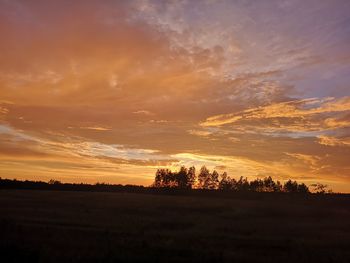 Silhouette trees on field against orange sky