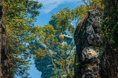 Trees and rocks against sky