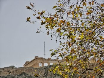 Low angle view of building