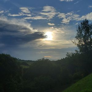 Scenic view of trees against sky during sunset