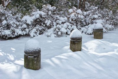 Snow covered land and trees on field