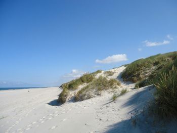 Scenic view of beach against blue sky