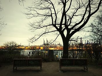 Bare trees against sky