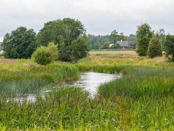 Scenic view of farm against sky