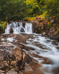 View of waterfall in forest