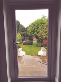 Trees and house seen through window