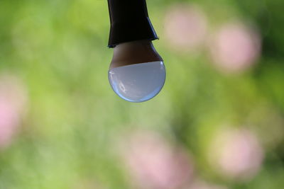 Close-up of light bulb