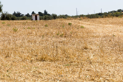 View of field against clear sky