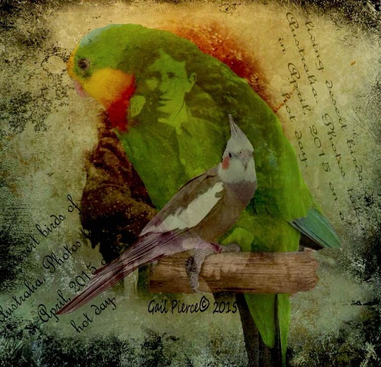 bird, animal themes, animals in the wild, wildlife, perching, high angle view, one animal, animal representation, full length, duck, nature, two animals, day, outdoors, parrot, art and craft, no people, art, green color