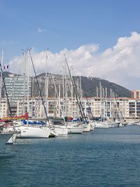 Sailboats in marina