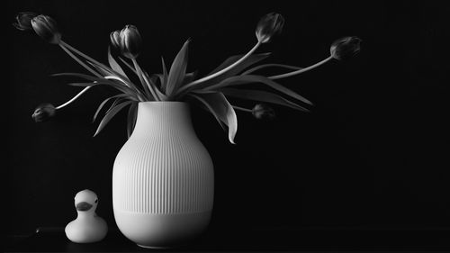 still life photography