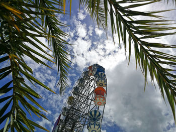 Low angle view of palm trees against sky