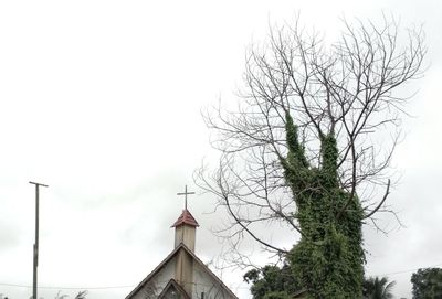 Low angle view of trees and building against sky