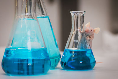 Close-up of mouse figurine and chemical flasks on table in laboratory