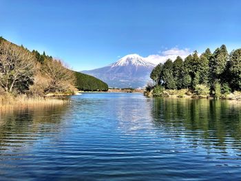 Scenic view of lake by trees against clear blue sky